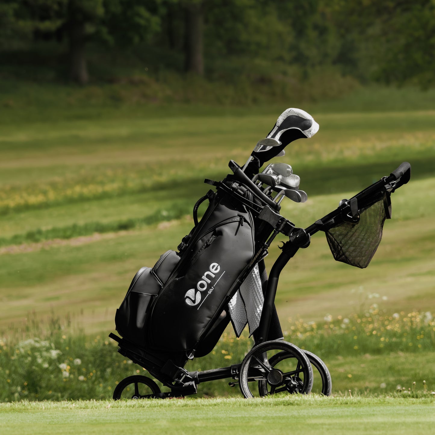 Lone Stand Bag